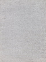 Exquisite Morello Indoor/Outdoor Reversible Hand-loomed PET yarn Ivory/Gray Area Rug 6.0'X9.0' Rug