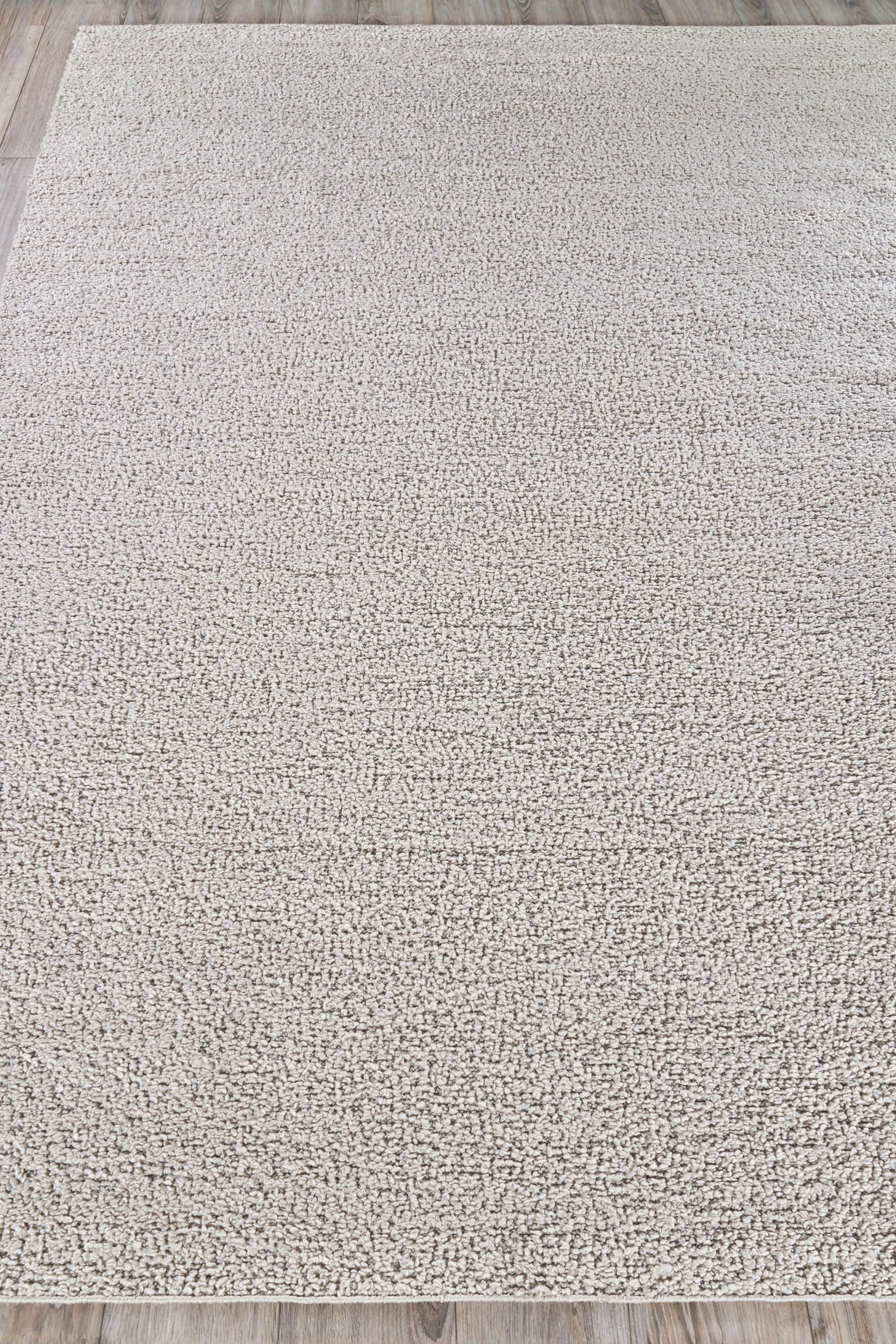 Exquisite Rugs Morello Indoor/Outdoor Reversible Hand-loomed PET yarn 4777 Ivory/Gray 6' x 9' Area Rug