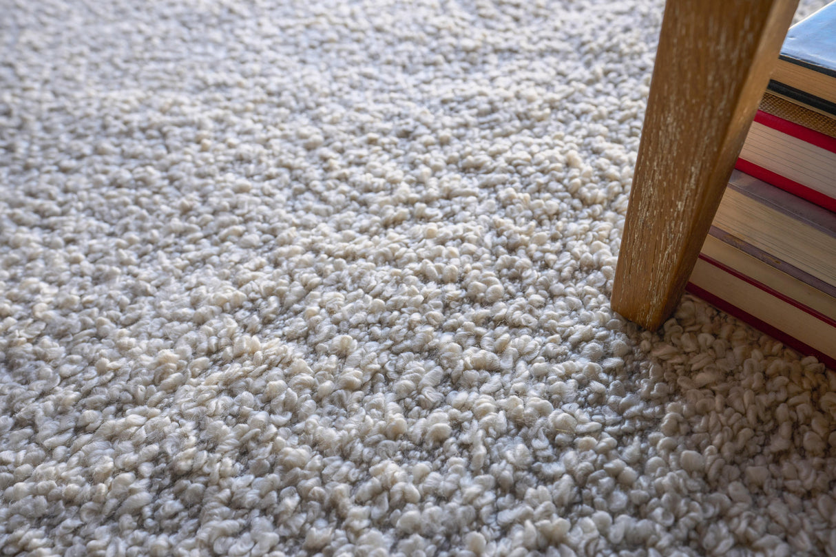 Exquisite Rugs Morello Indoor/Outdoor Reversible Hand-loomed PET yarn 4777 Ivory/Gray 6' x 9' Area Rug