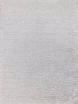 Exquisite Morello Indoor/Outdoor Reversible Hand-loomed PET yarn Ivory/Ivory Area Rug 6.0'X9.0' Rug