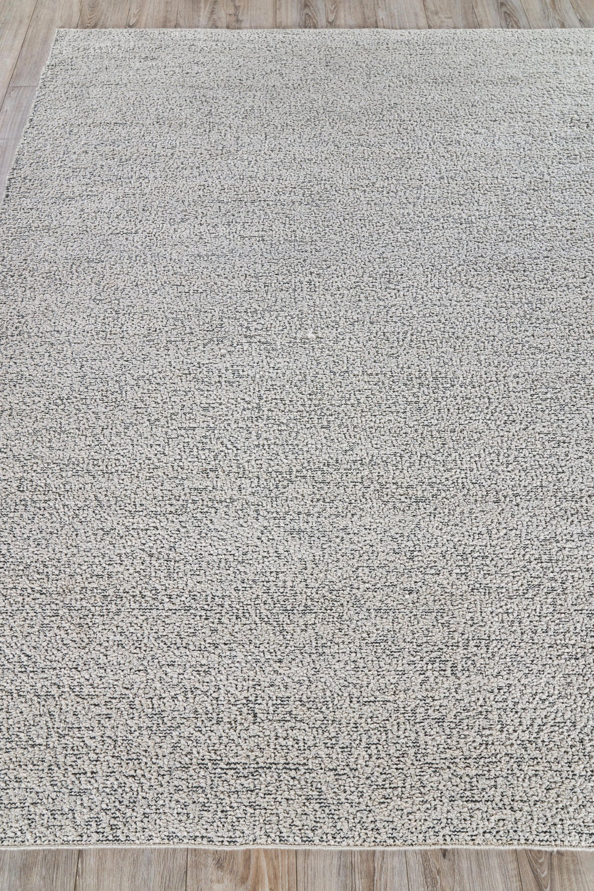 Exquisite Rugs Morello Indoor/Outdoor Reversible Hand-loomed PET yarn 4779 Ivory/Dark Gray 6' x 9' Area Rug