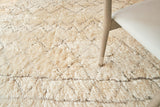 Exquisite Rugs Moroccan Hand-knotted New Zealand Wool 2561 Ivory/Charcoal 9' x 12' Area Rug