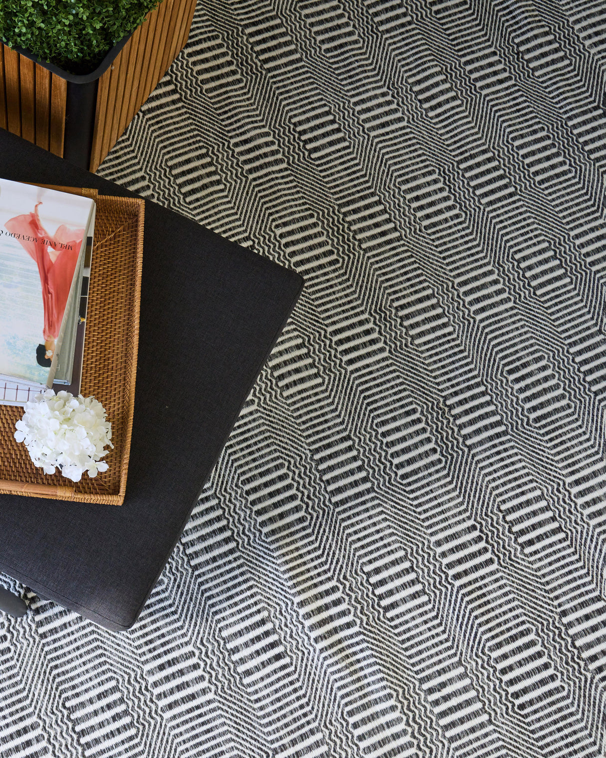 Exquisite Rugs Naples Indoor/Outdoor Flatweave PET yarn 4883 Ivory/Black 9' x 12' Area Rug
