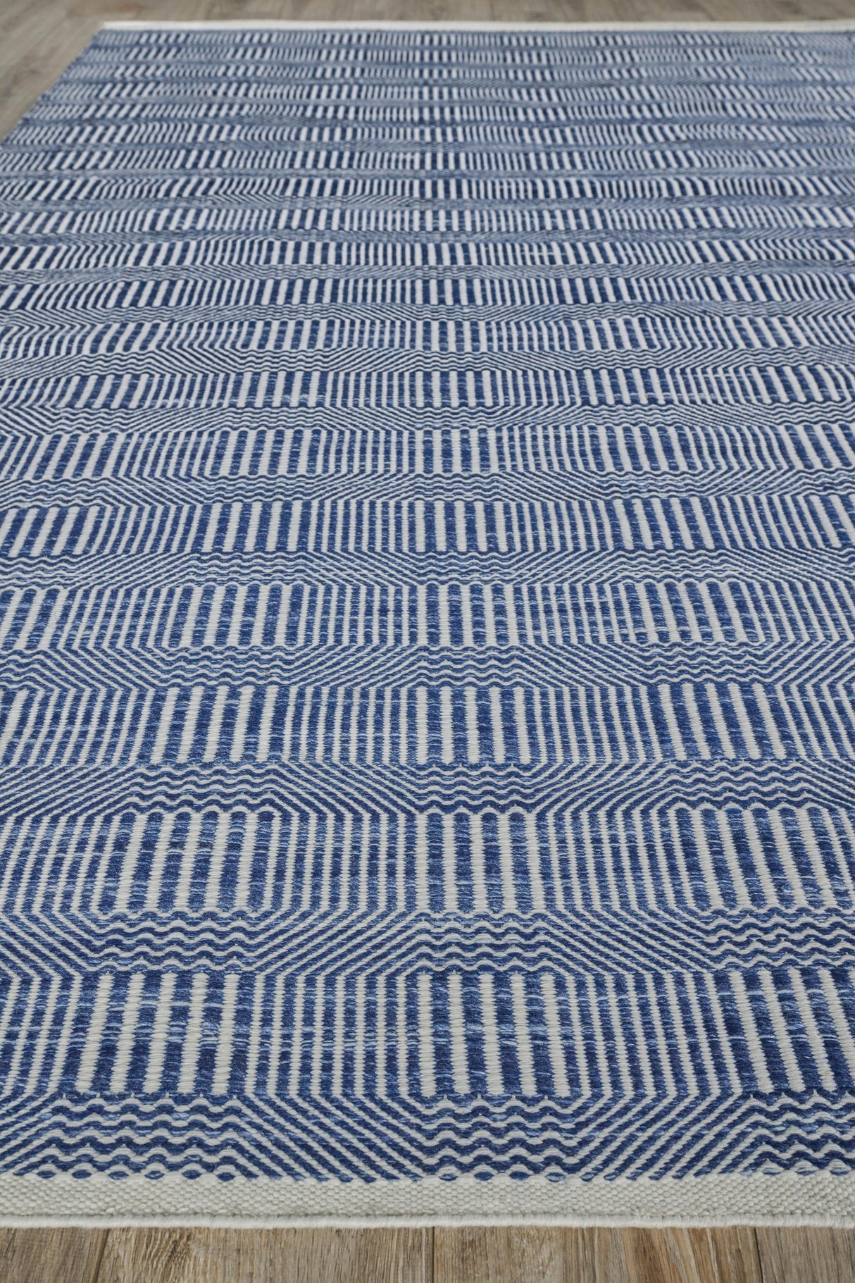 Exquisite Rugs Naples Indoor/Outdoor Flatweave PET yarn 4884 Ivory/Blue 12' x 15' Area Rug