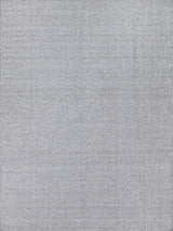 Exquisite Nova Indoor/Outdoor Flatweave PET yarn Gray Area Rug 9.0'X12.0' Rug