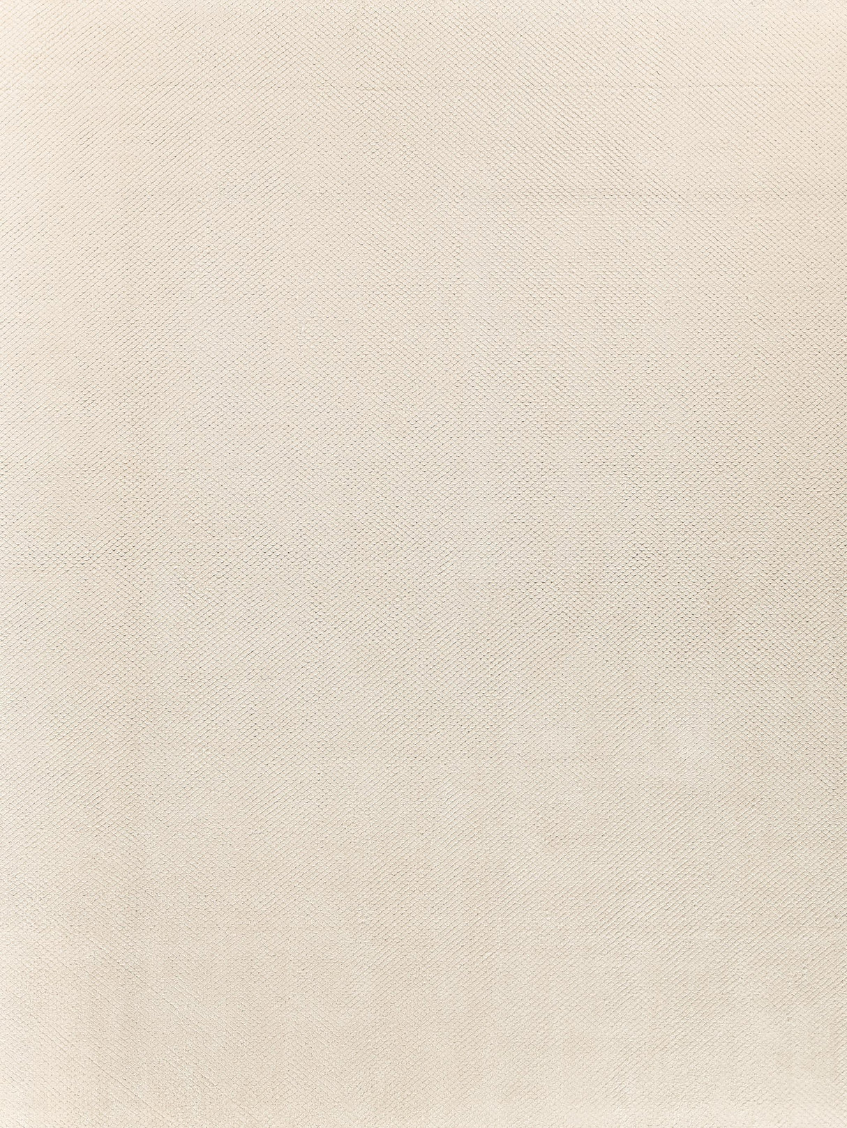 Exquisite Pearl Hand-loomed Bamboo Silk Ivory Area Rug 8.0'X10.0' Rug