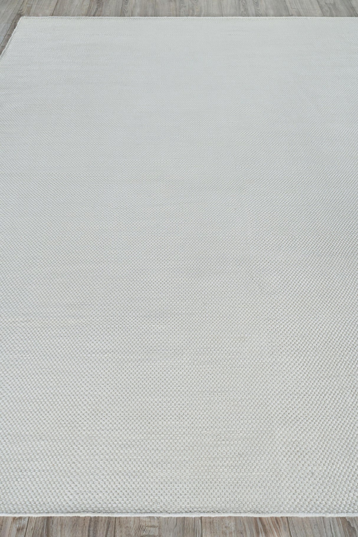 Exquisite Rugs Rhodes Hand-loomed PET yarn 4576 Ivory 9' x 12' Area Rug