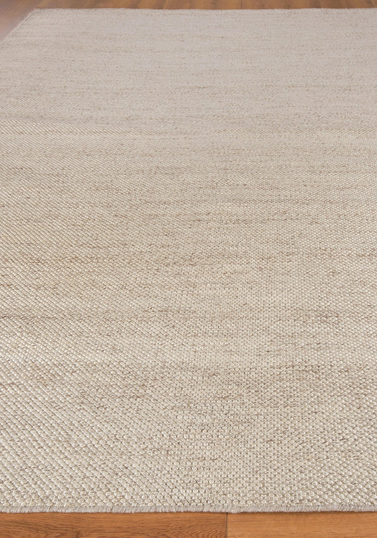 Exquisite Rugs Rhodes Hand-loomed PET yarn 4595 Beige 8' x 10' Area Rug