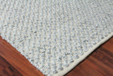 Exquisite Rugs Rialto Handwoven Polyester/Cotton 3957 Light Gray 12' x 15' Area Rug