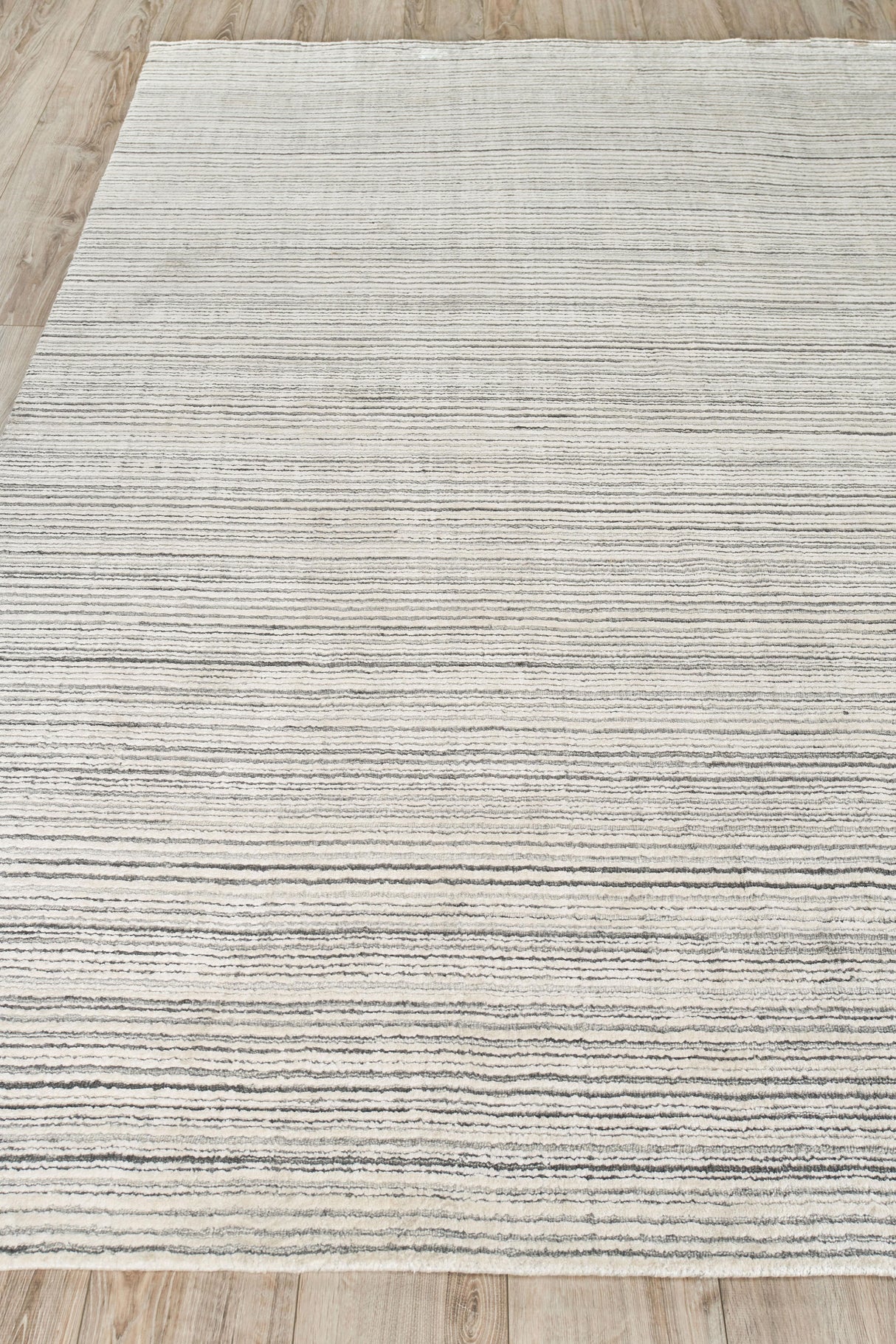 Exquisite Rugs Rossini Hand-loomed Nylon/PET yarn Yarn 4695 Ivory/Gray 9' x 12' Area Rug