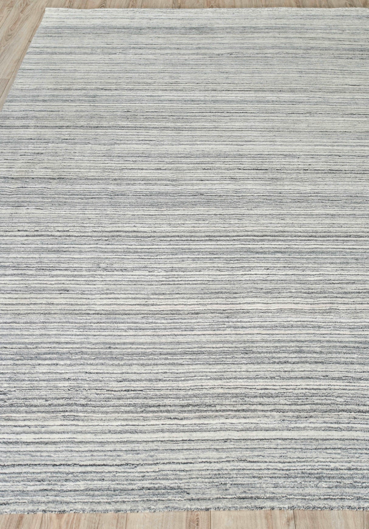 Exquisite Rugs Rossini Hand-loomed Nylon/PET yarn Yarn 4696 Gray/Light Gray 12' x 15' Area Rug