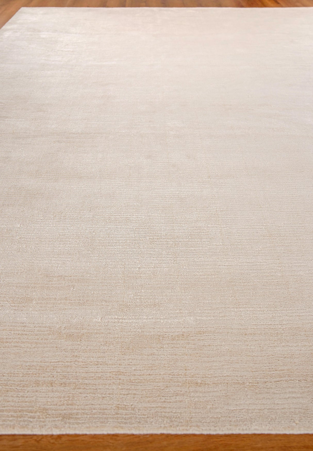 Exquisite Rugs Tangaro Hand-loomed Bamboo Silk/Banana Silk 4435 Light Beige 10' x 14' Area Rug
