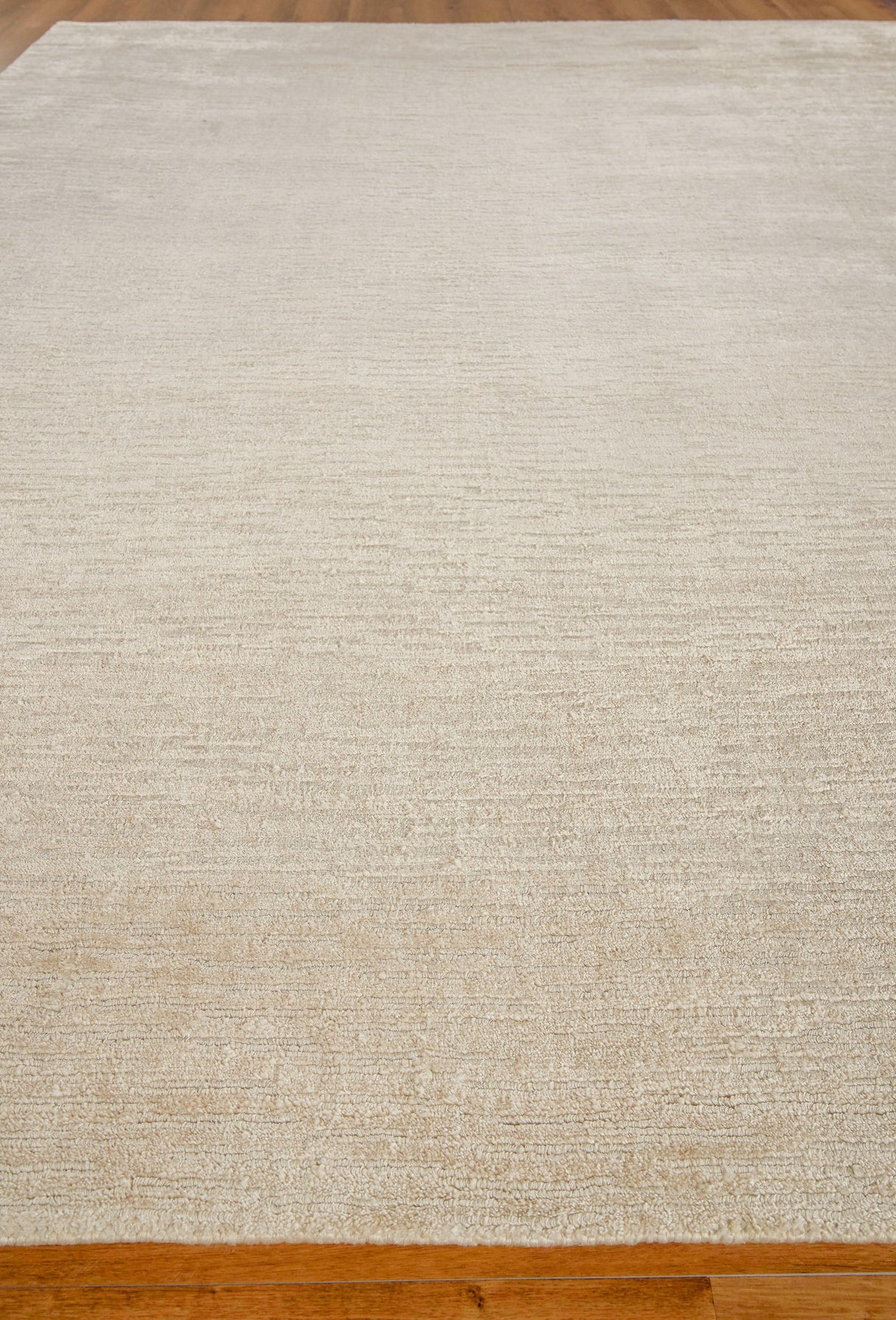 Exquisite Rugs Tangaro Hand-loomed Bamboo Silk/Banana Silk 4436 Light Beige 9' x 12' Area Rug