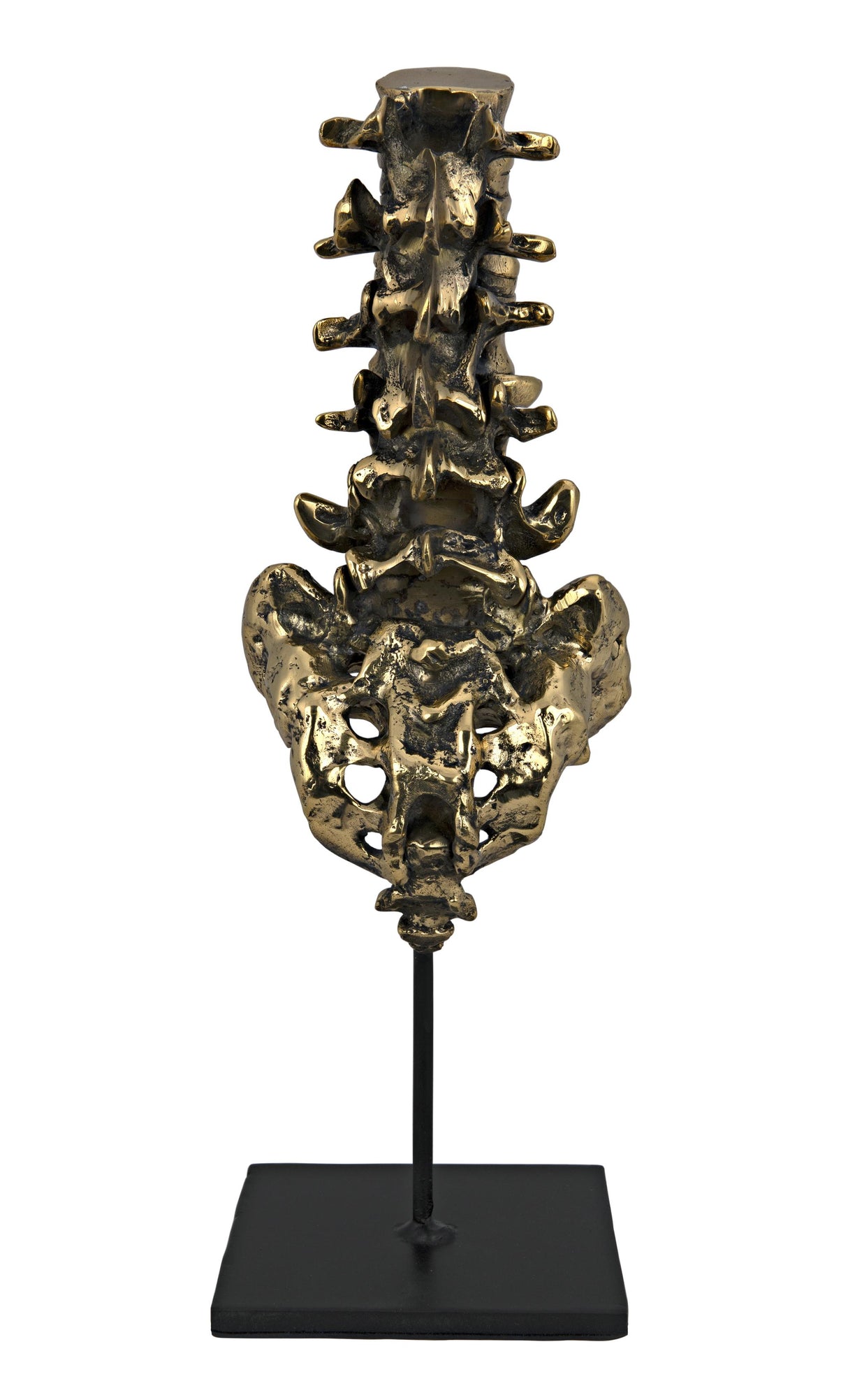 NOIR Vertebrae Brass and Steel