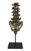 NOIR Vertebrae Brass and Steel
