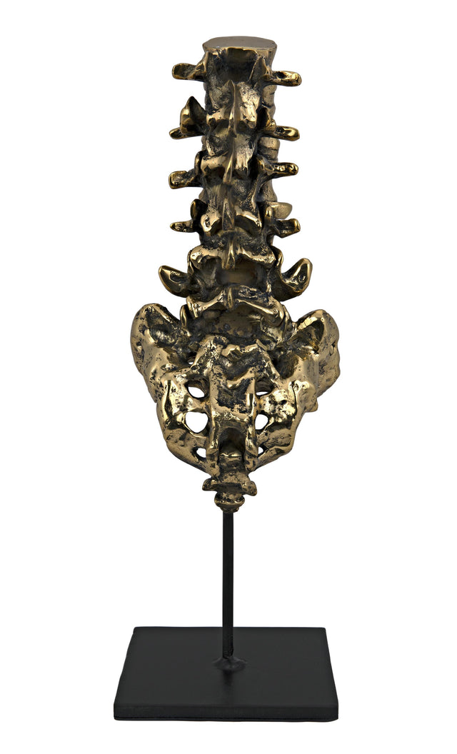 NOIR Vertebrae Brass and Steel