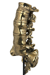 NOIR Vertebrae Brass and Steel