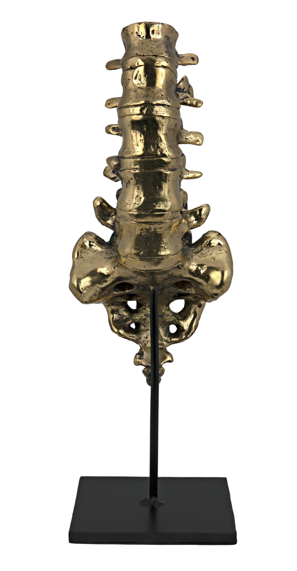 NOIR Vertebrae Brass and Steel