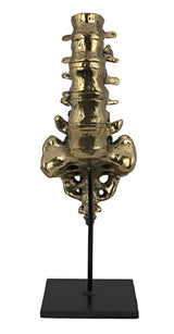NOIR Vertebrae Brass and Steel