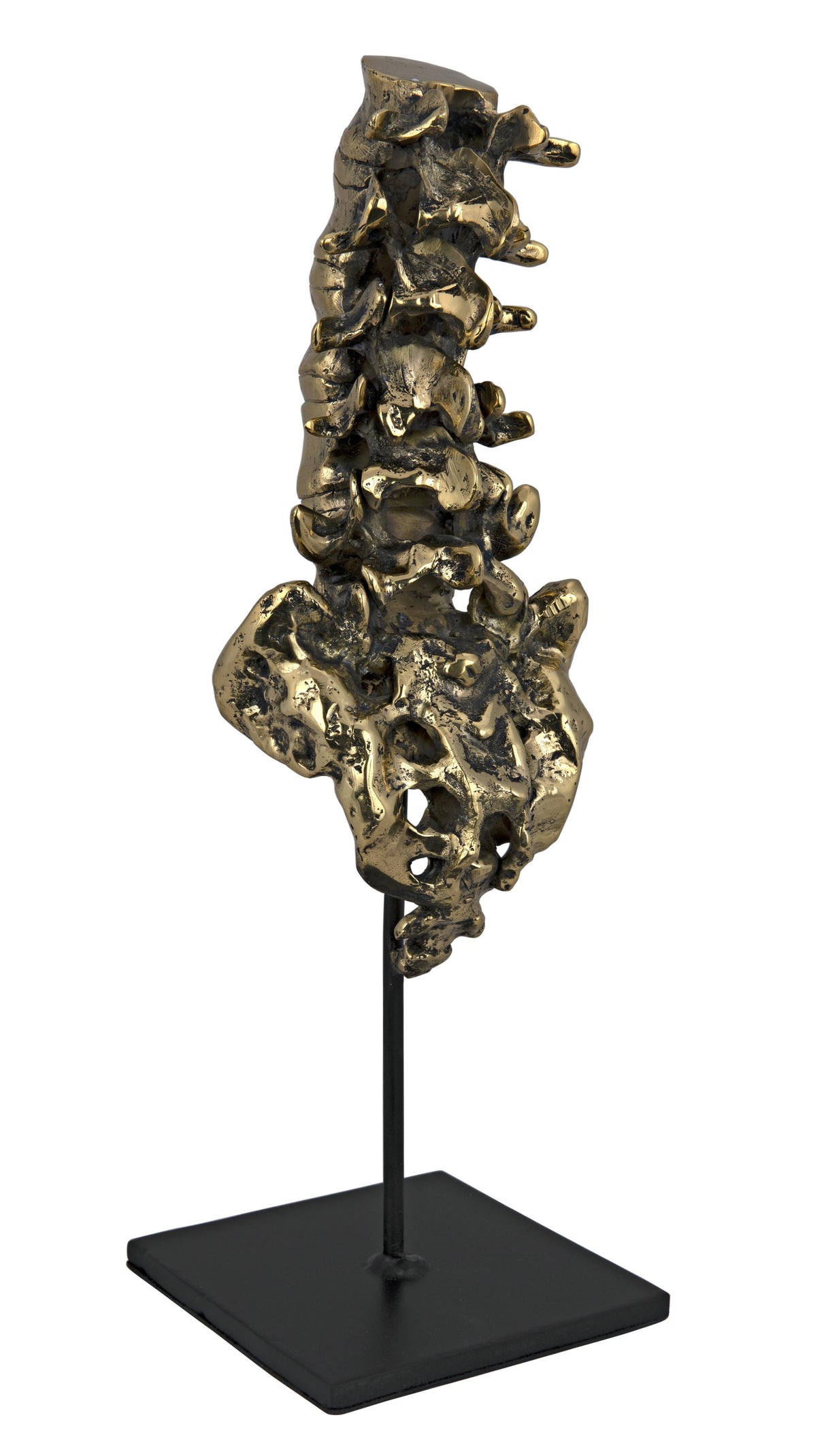 NOIR Vertebrae Brass and Steel