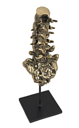NOIR Vertebrae Brass and Steel