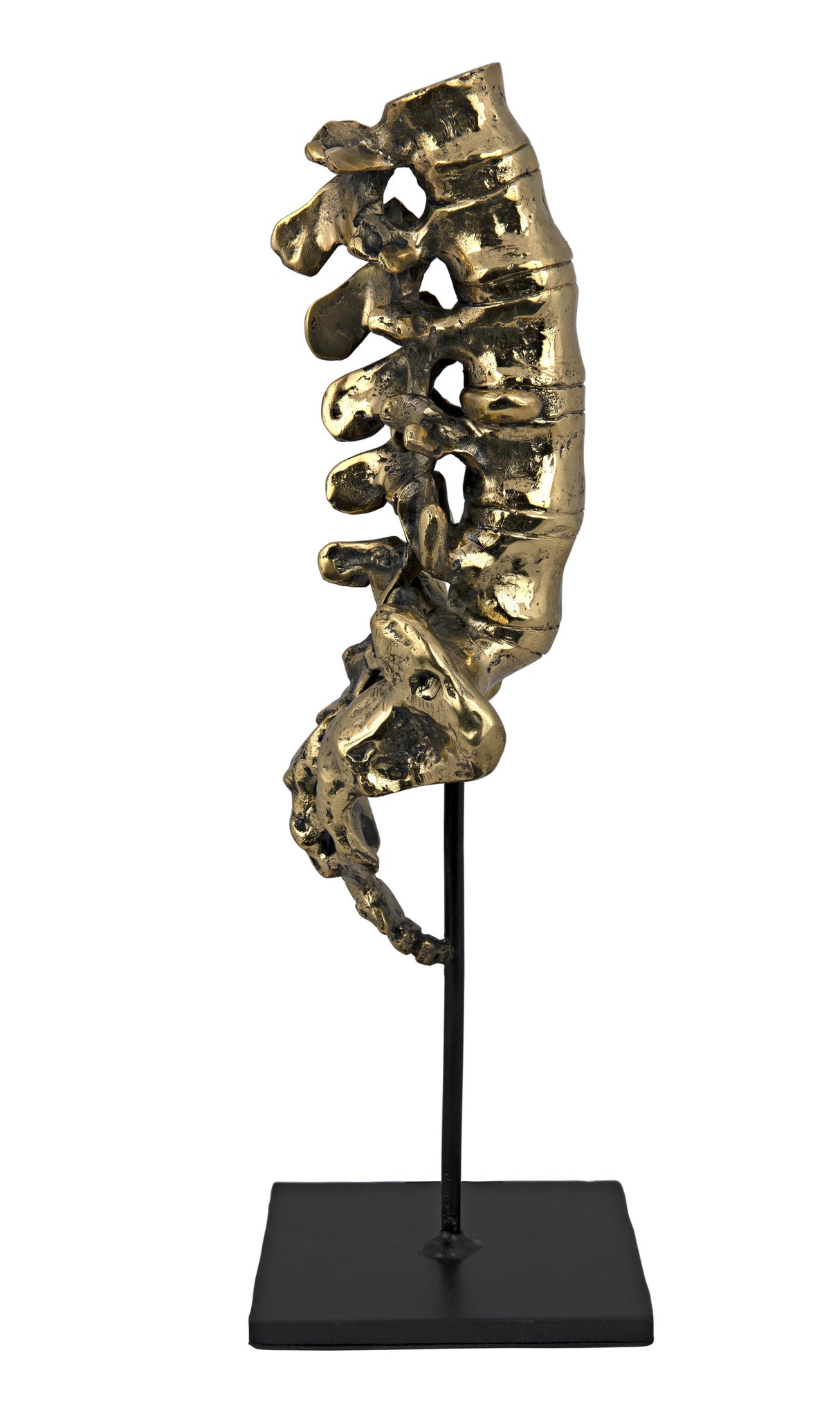 NOIR Vertebrae Brass and Steel