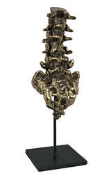 NOIR Vertebrae Brass and Steel