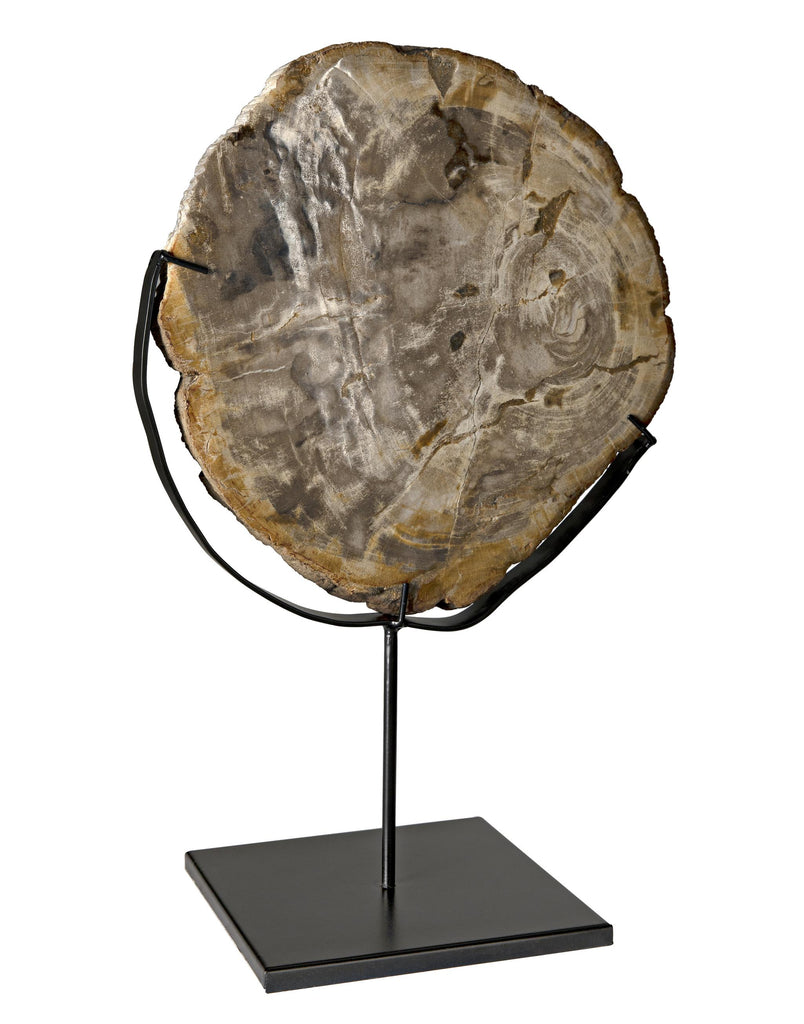 NOIR Wood Fossil with Stand 12"