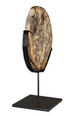 NOIR Wood Fossil with Stand 12"