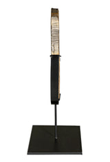 NOIR Wood Fossil with Stand 12"