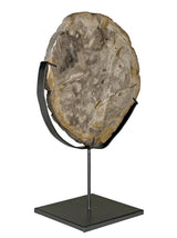 NOIR Wood Fossil with Stand 12"