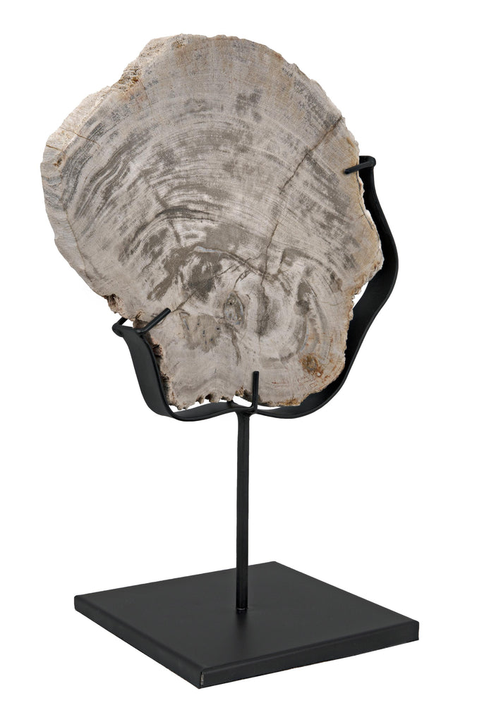 NOIR Wood Fossil with Stand 8"