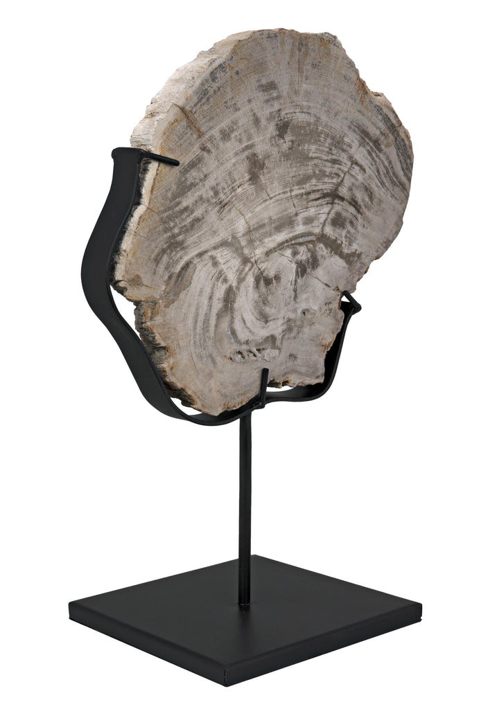 NOIR Wood Fossil with Stand 8"