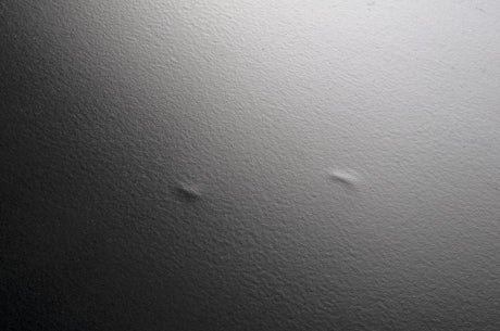 NOIR Papillon Stool Black Steel