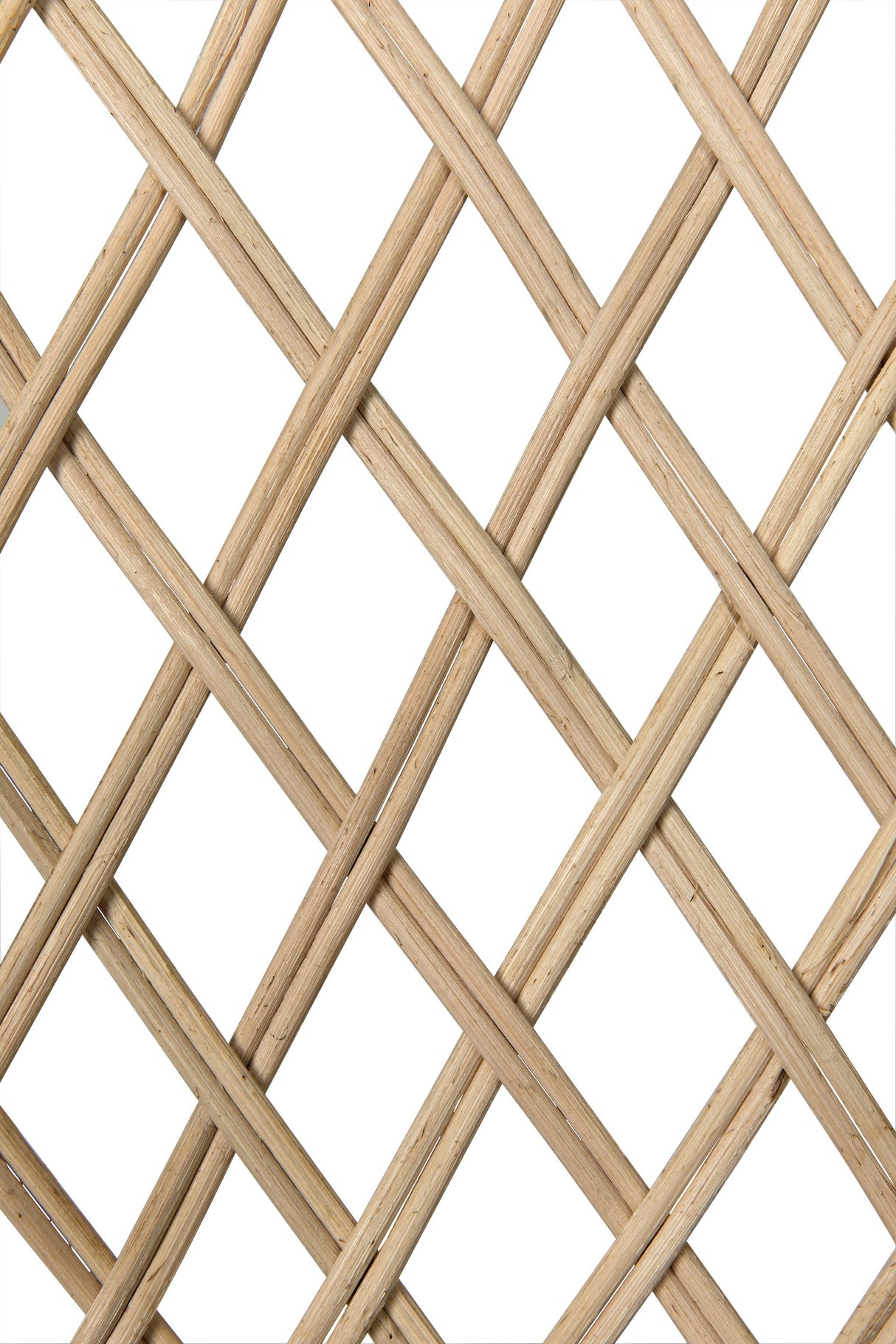 NOIR Gigi Chair Rattan