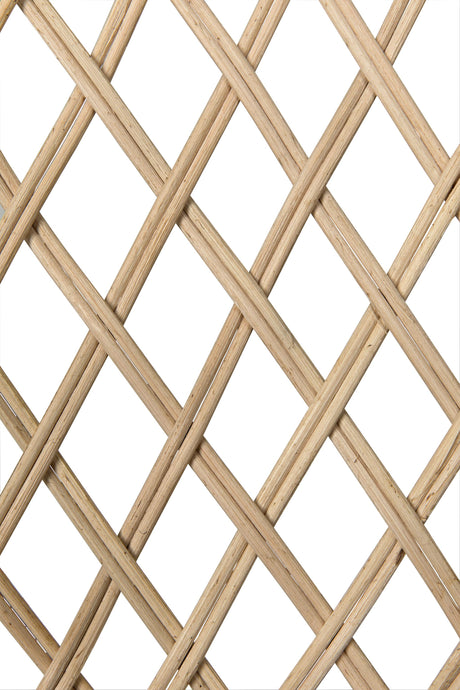 NOIR Gigi Chair Rattan