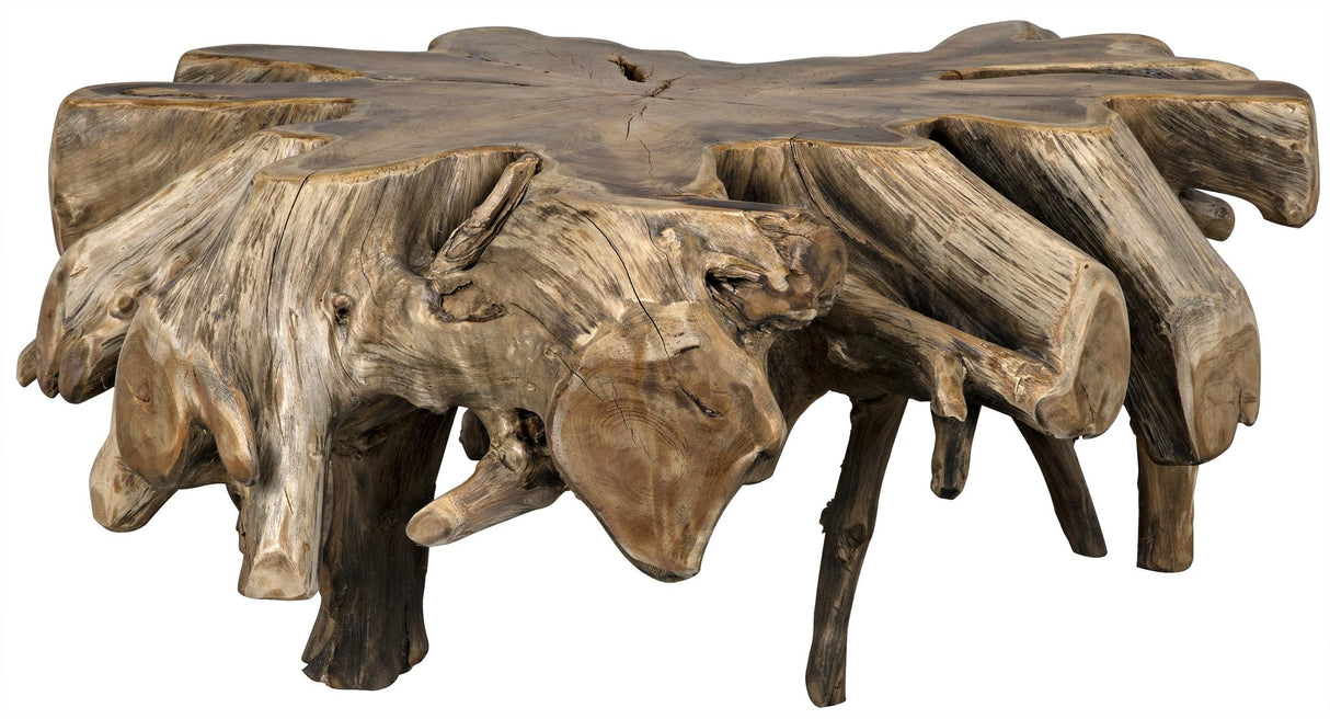 NOIR Teak Root Coffee Table