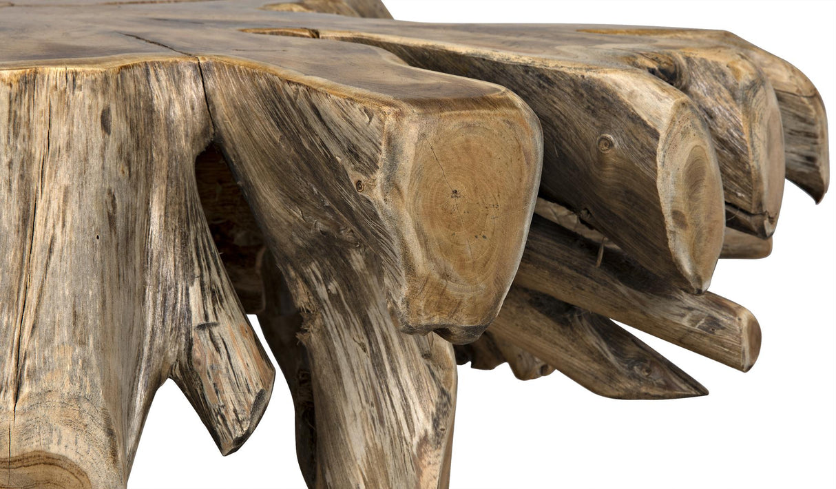 NOIR Teak Root Coffee Table