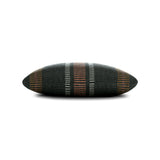 Elaine Smith Journey Earth Black 20"x20" Decorative Pillow