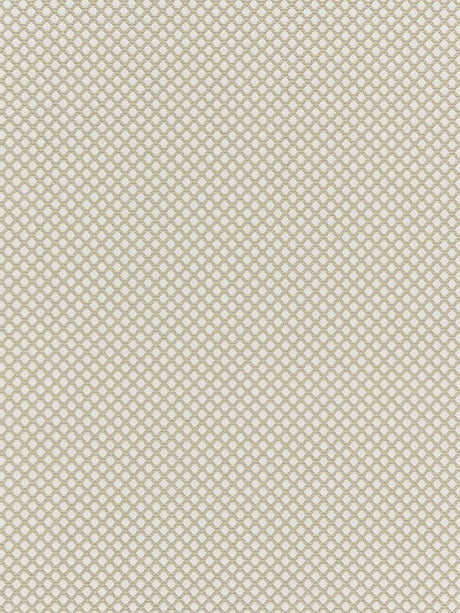 Scalamandre Bellaire Trellis Flax Fabric