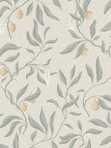 Scalamandre Vinnie Sage Green Wallpaper