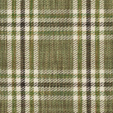 Schumacher Mariga Green Fabric