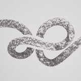 Schumacher Backdrop X Schumacher Rhapsody Graphite Wallpaper