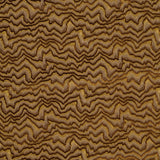 Schumacher Zambezi Velvet Bronze Fabric