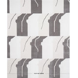 Schumacher Gustavian Dance Velvet Grey Fabric