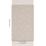 Schumacher Heavenly Bodies Sand Wallpaper