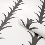 Schumacher Acanthus Stripe Carbon On Ivory Wallpaper