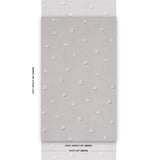 Schumacher Heavenly Bodies Gray Wallpaper