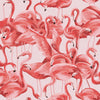 Decoratorsbest Peel And Stick Flamingo Fantasy Pink Wallpaper