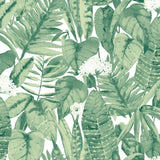 Tempaper Paradise Palm Tropical Green Peel and Stick Wallpaper, 28 sq. ft.
